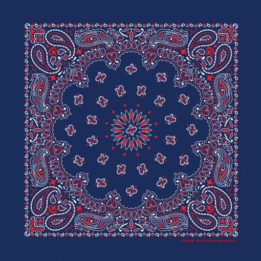 22" Paisley Bandannas