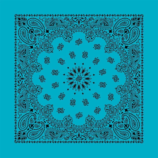 Contemporary Turquoise Paisley