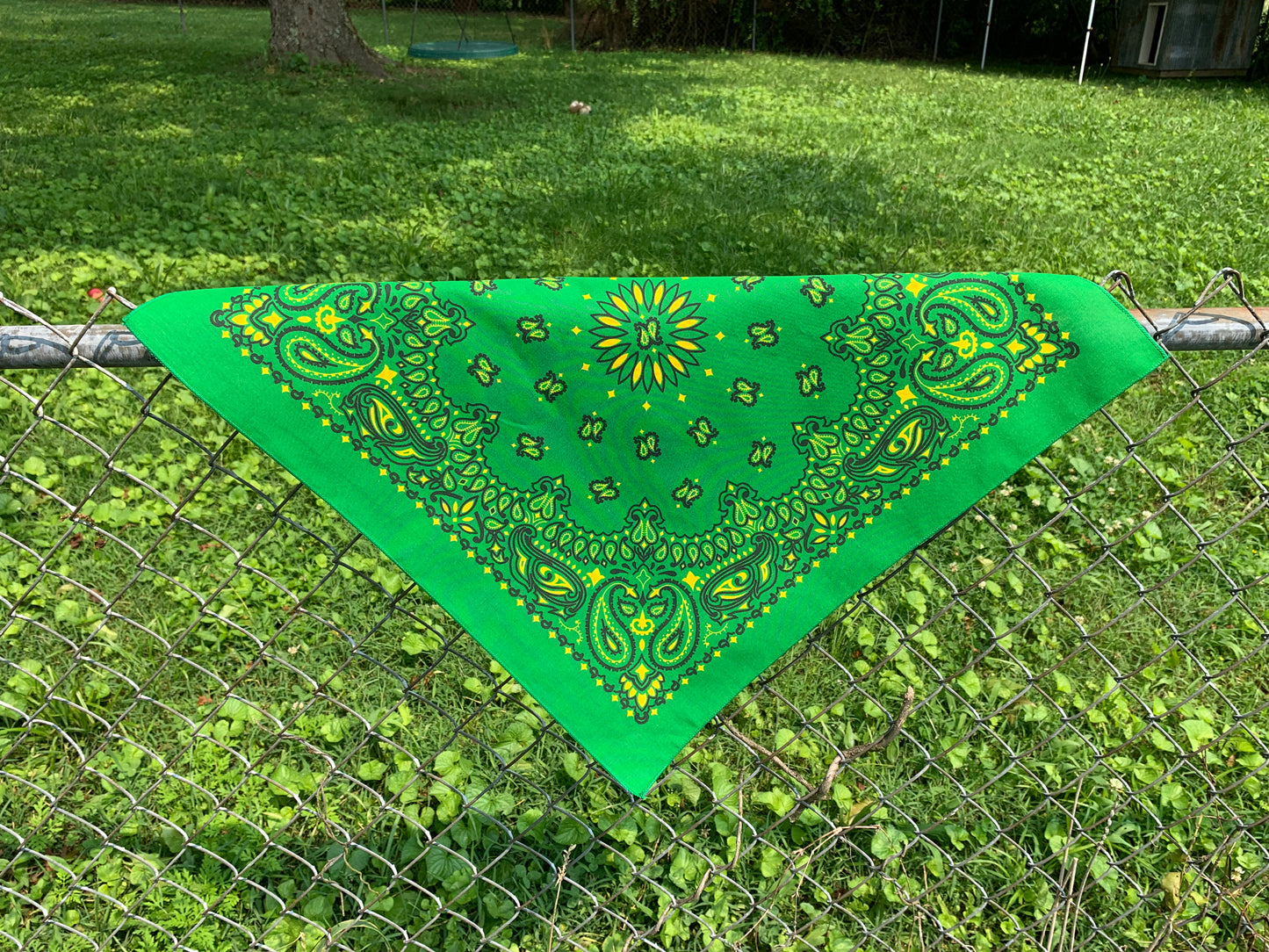 Kelly Yellow Paisley