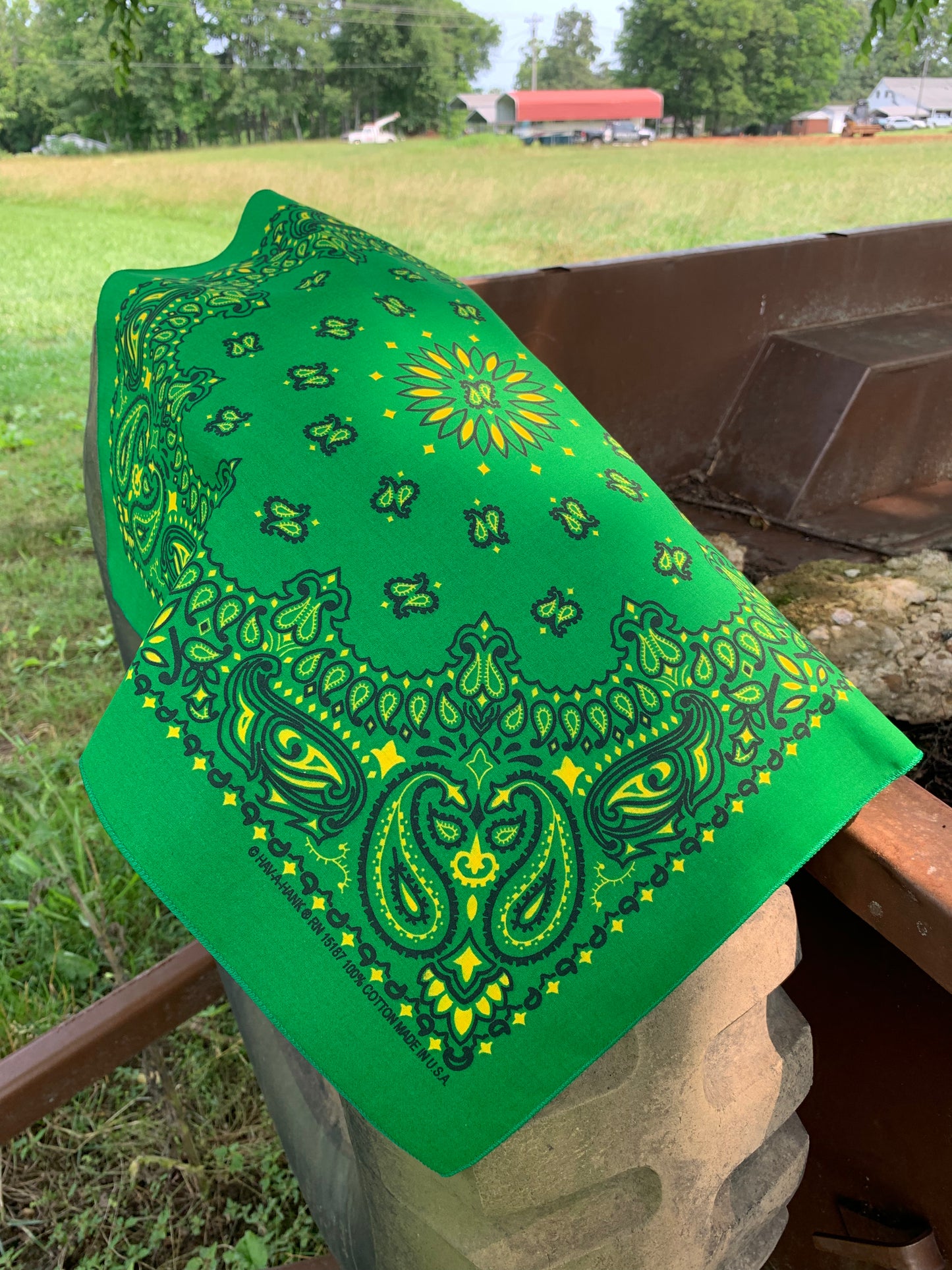 Kelly Yellow Paisley