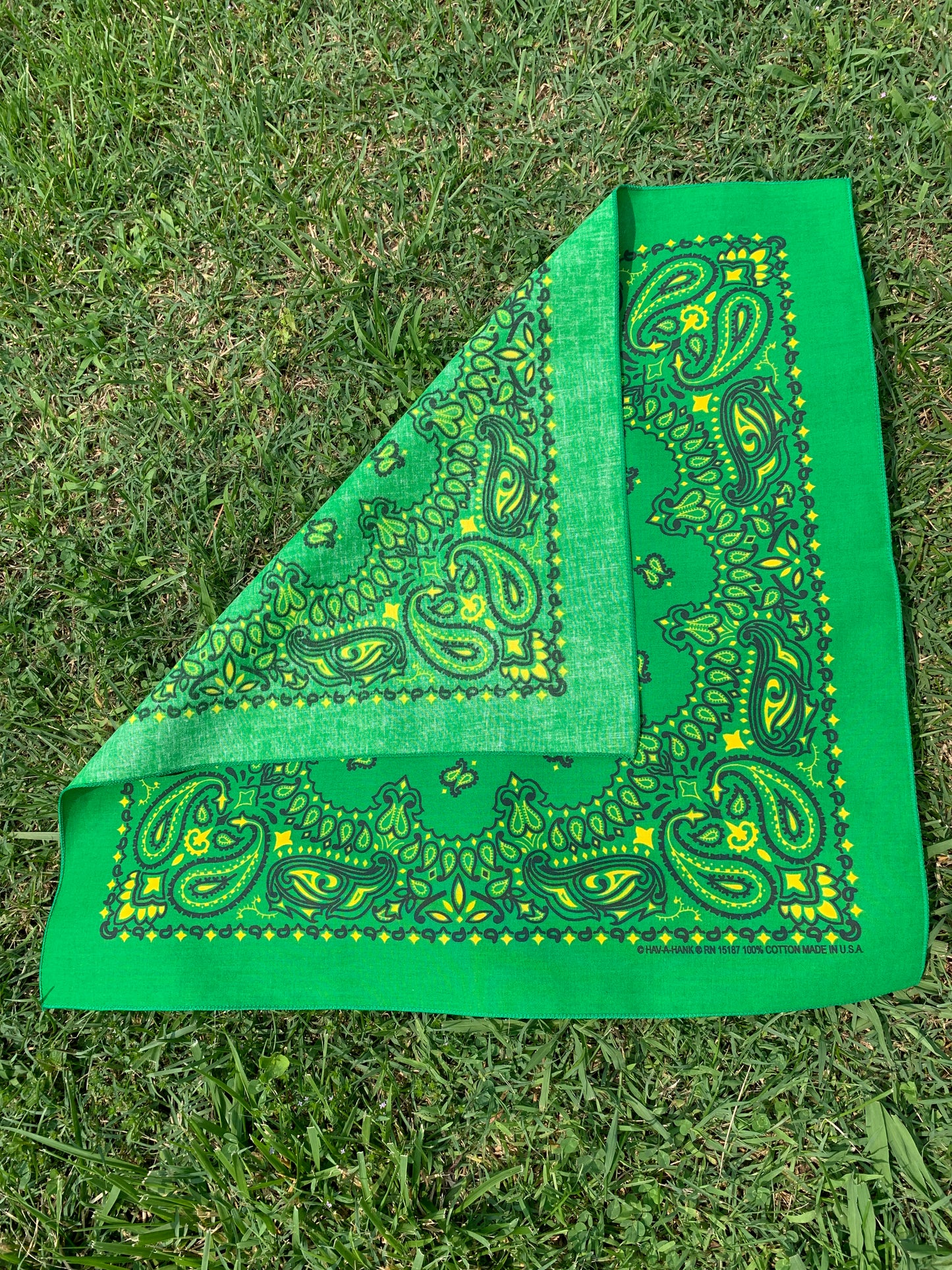 Kelly Yellow Paisley
