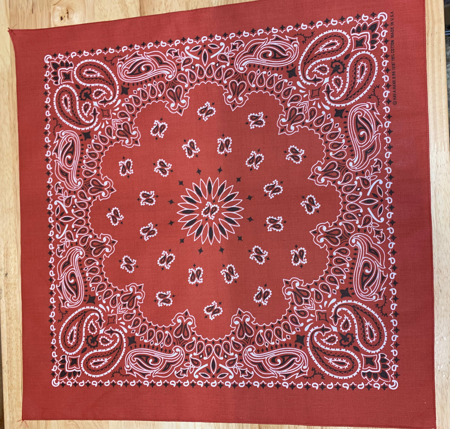 Terracotta Paisley