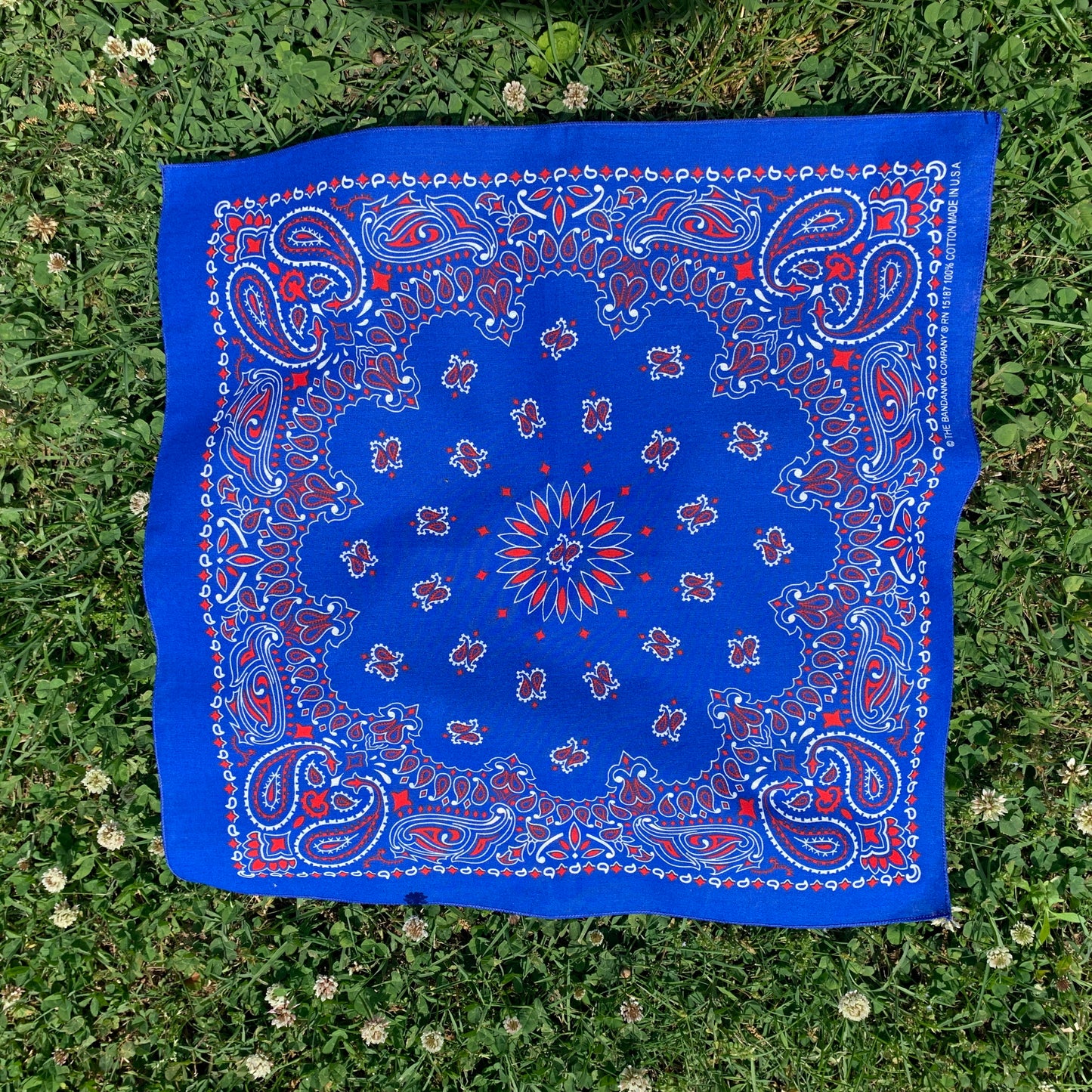 Blue Red & White Paisley Single Side Print
