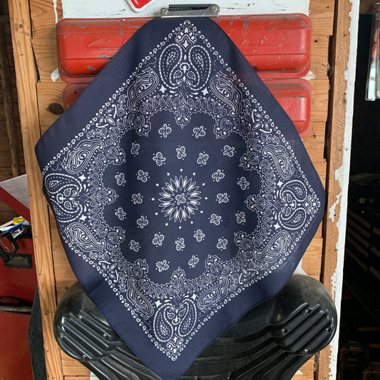 Navy Paisley