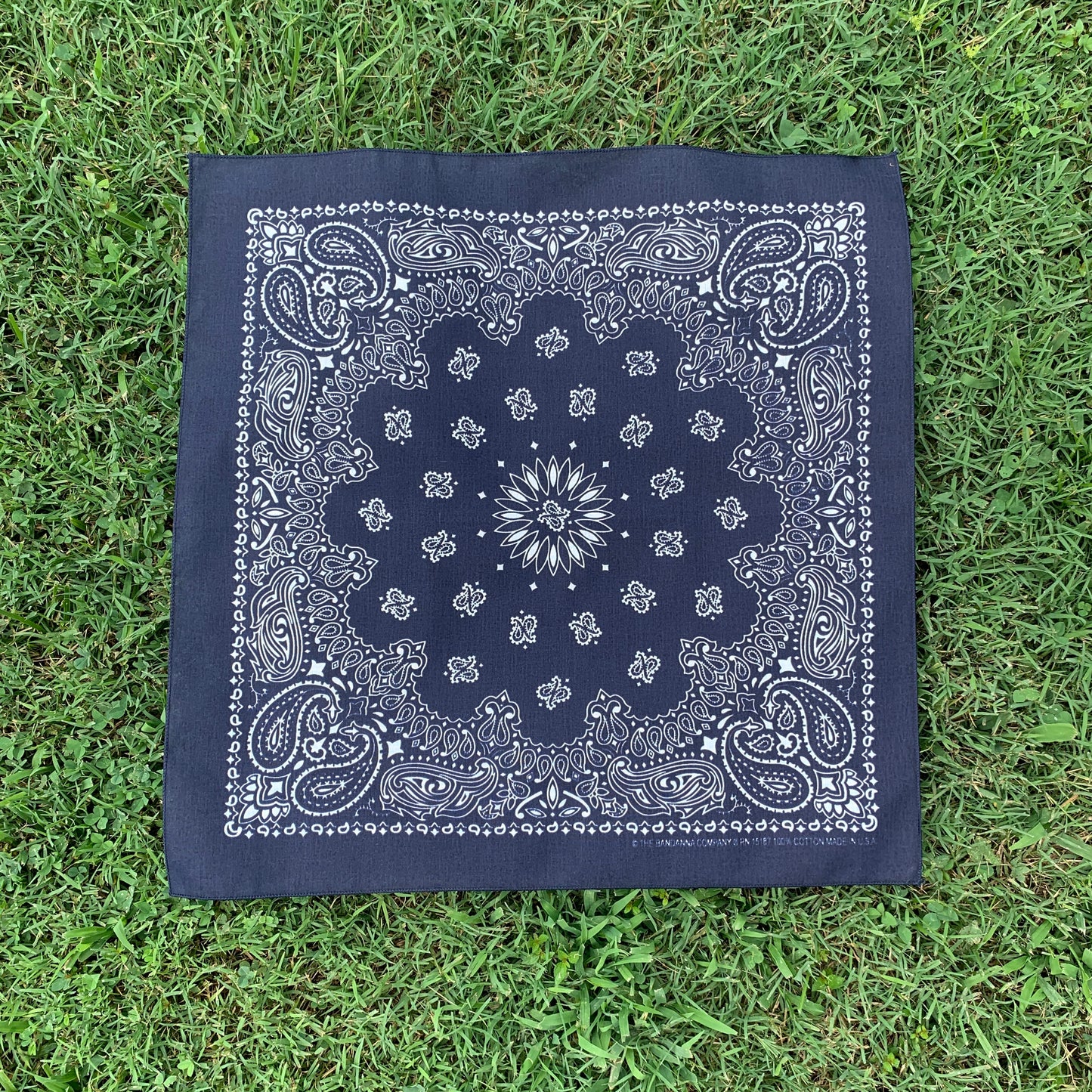 Navy Paisley