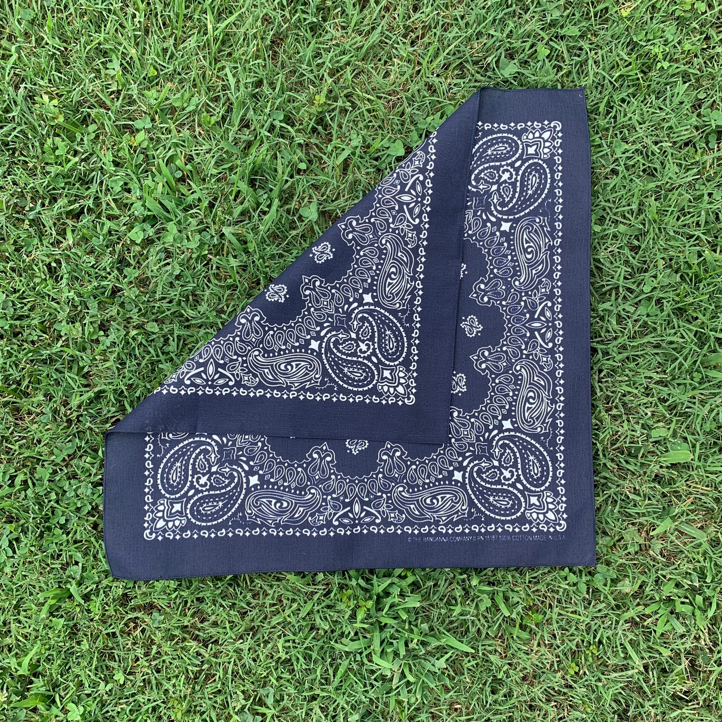 Navy Paisley