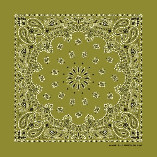 Olive Paisley