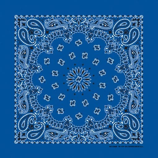Royal Paisley
