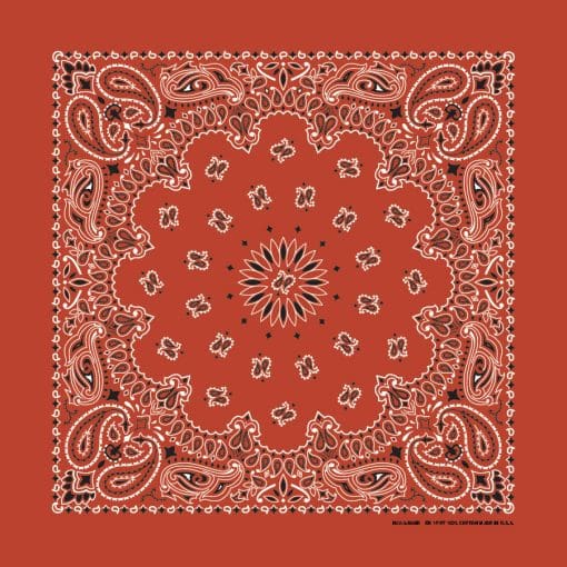 Terracotta Paisley