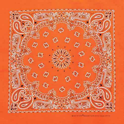 Neon Paisley Bundle Made in USA-4 Pack of Bandannas