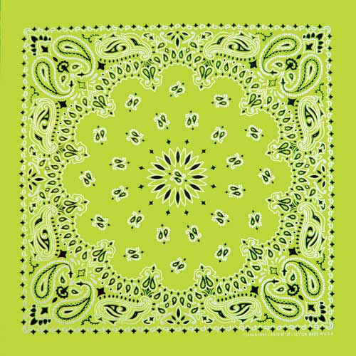 Neon Paisley Bundle Made in USA-4 Pack of Bandannas