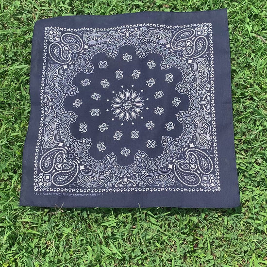 Video of navy paisley