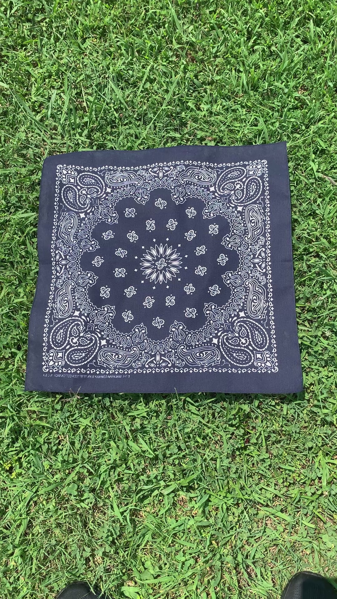 Video of navy paisley