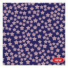 American Stars