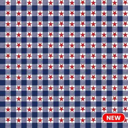 Patriotic Check