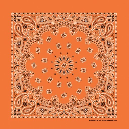 Orange Paisley