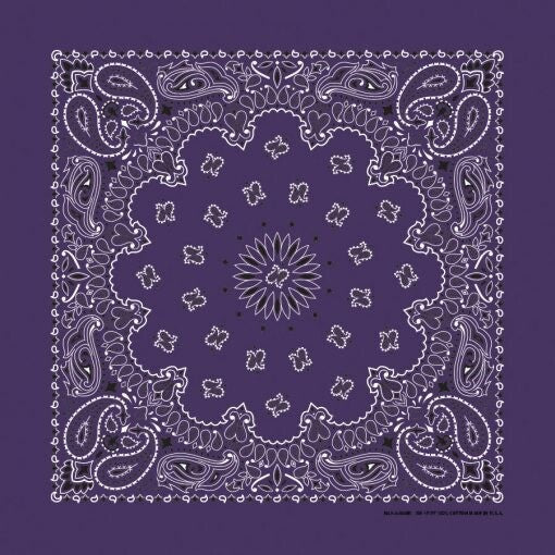 Plum Paisley