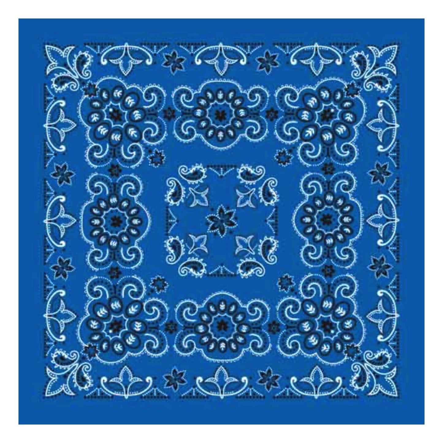 Royal Texas Paisley