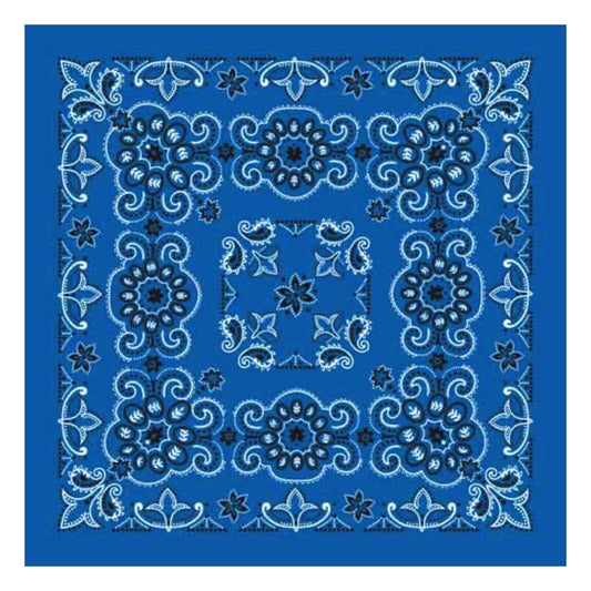 Royal Texas Paisley