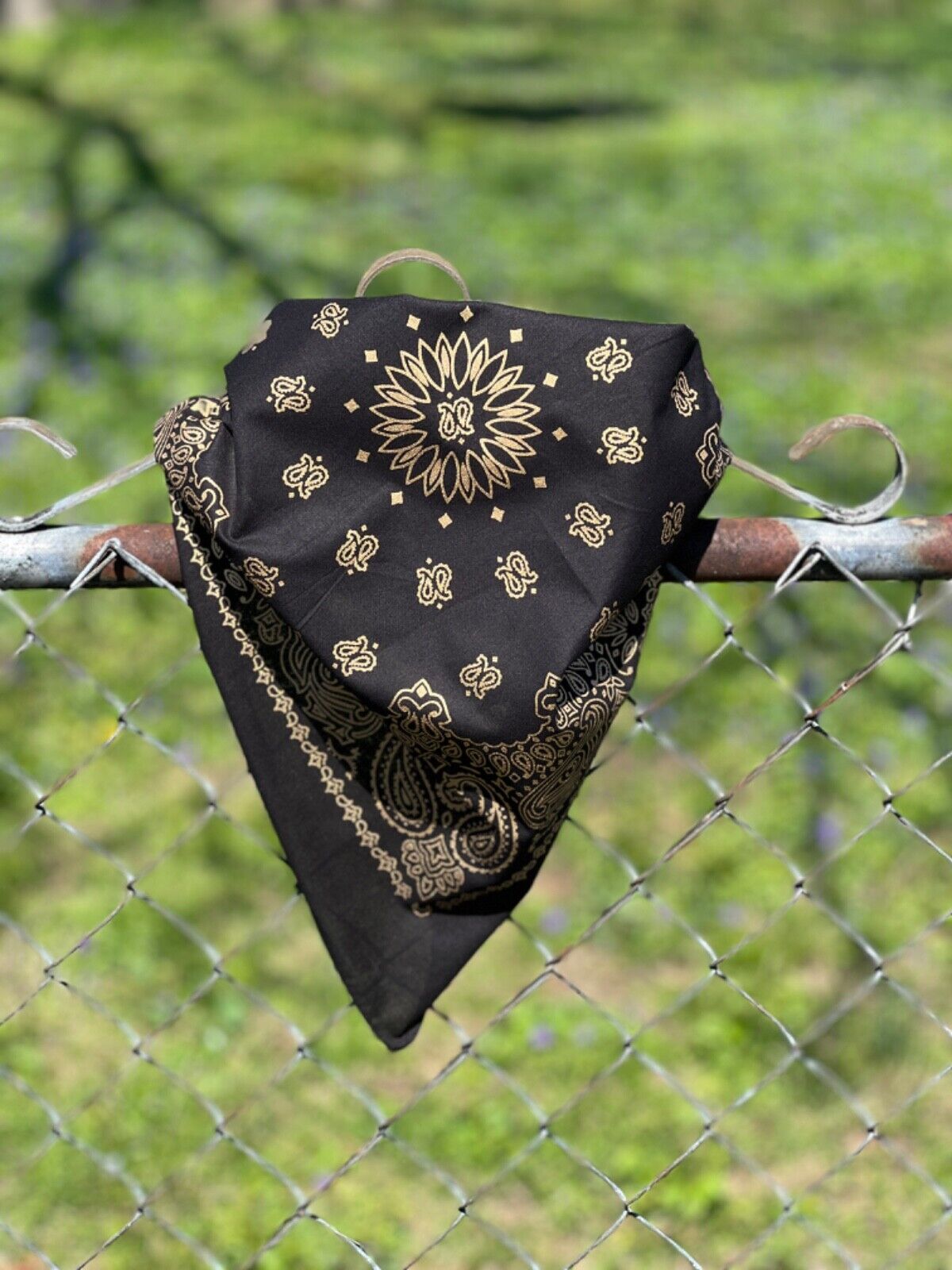 Black Gold Metallic